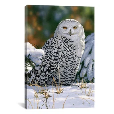 Icanvas "snowy Owl" By William Vanderdasson Photographic Print On Wrapped Canvas