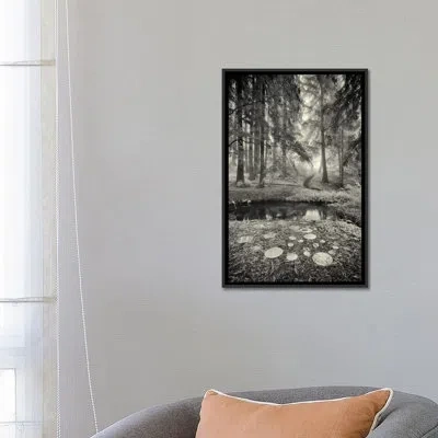 Icanvas 'specular Echoes' By Geoffrey Ansel Agrons Photographic Print On Canvas In No Mat,wrapped Canvas