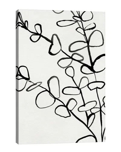 Icanvas Sprig Contour I By Victoria Barnes Wall Art