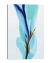 Icanvas Spring's Calling Card By Patricia Coulter Wall Art