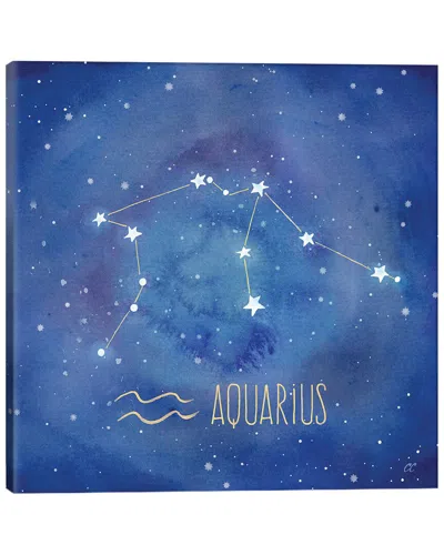 Icanvas Star Sign Aquarius By Cynthia Coulter Wall Art