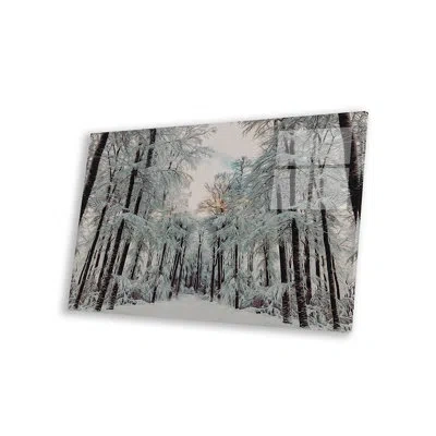 Icanvas Sunset In The Winter Forest Print On Acrylic Glass In White;gray;silver;olivine
