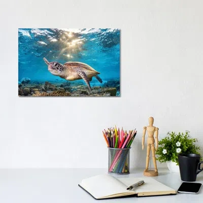 Icanvas Swimming In The Golden Light By Jordan Robins - Photograph Print In No Matte,wrapped Canvas