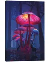 Icanvas The Magic Shrooms By Davansh Atry Wall Art