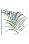 Icanvas 'tropical Blush V' By Lisa Audit Canvas Artwork In Green Multi