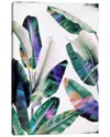 Icanvas Tropical I By Leemo Wall Art