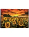 Icanvas Tuscany Sunflowers Field By Marco Carmassi Wall Art
