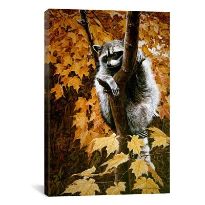 Icanvas "up A Tree" By Ron Parker Photographic Print On Wrapped Canvas In Brown;gray