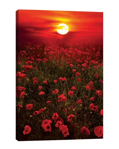 Icanvas Warm Sunset By Marco Carmassi Wall Art