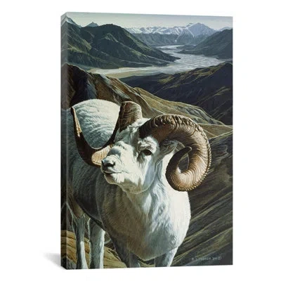 Icanvas "warrior" By Ron Parker Photographic Print On Wrapped Canvas In Brown;white