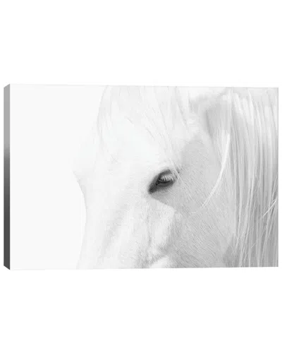 Icanvas White Horse By Marco Carmassi Wall Art