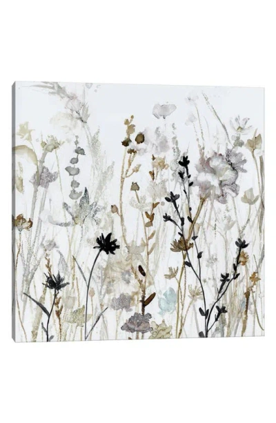 Icanvas Wildflower Mist Ii By Carol Robinson Canvas Wall Art In White-multi