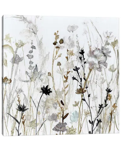 Icanvas Wildflower Mist Ii By Carol Robinson Wall Art