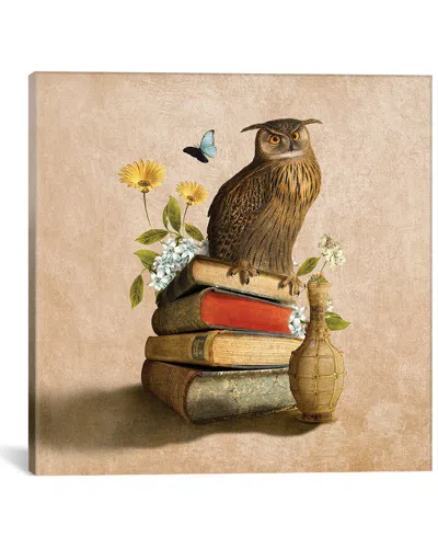 Icanvas Wise Owl By Diogo Verissimo