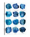 Icanvas Zodiac By Albina Bratcheva Wall Art