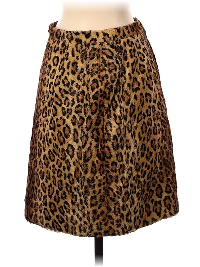 Pre-owned Icb Casual Skirt In Brown