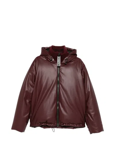Iceberg Hooded Bomber Jacket In Red