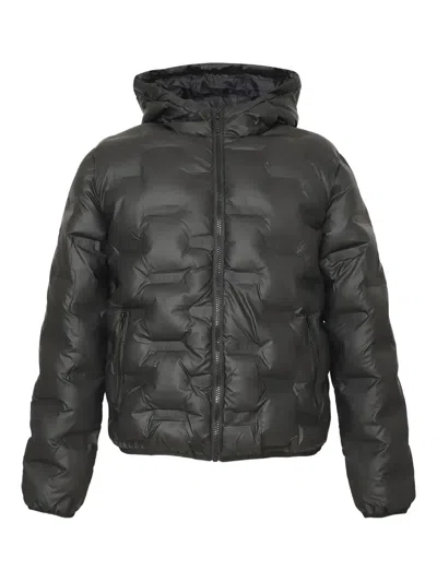 Iceberg Kids' Hooded Padded Coat In Black