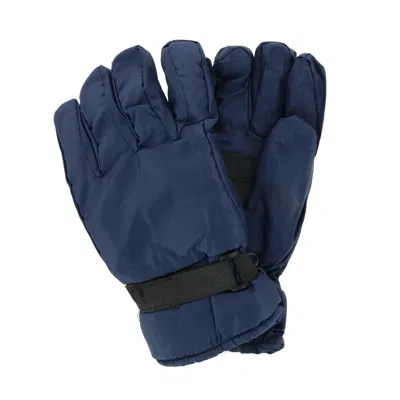 Iceberg Polar Wear Men's Thermal Lined Solid Color Winter Ski Glove In Blue