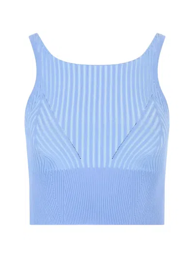 Iceberg Ribbed-knit Cropped Top In Multi