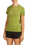 Icebreaker 125 Cool-lite T-shirt In Green