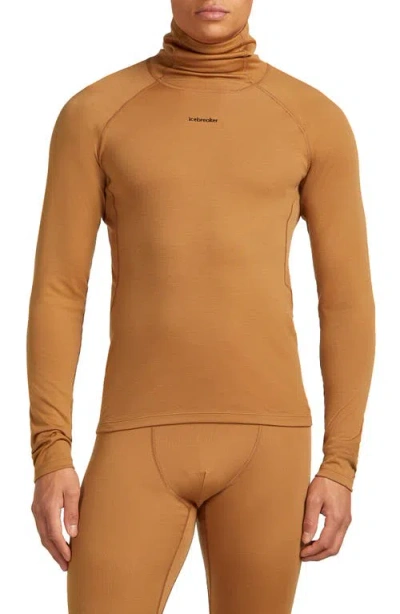Icebreaker 300 Polar Merinofine Turtleneck Top In Brown