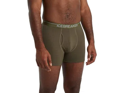 Icebreaker Anatomica Boxers With Fly In Green
