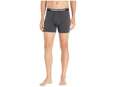 Icebreaker Anatomica Merino Boxers W/ Fly In Blue