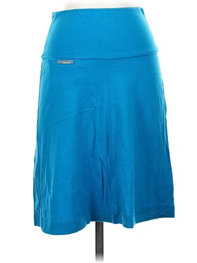 Pre-owned Icebreaker Casual Skirt In Blue