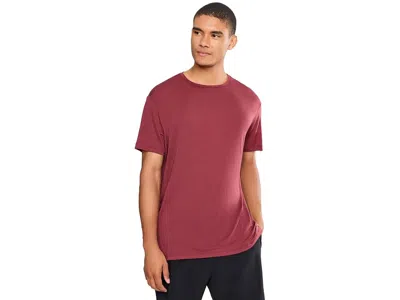 Icebreaker Merino 125 Cool-litetm Sphere Short Sleeve T-shirts Men's Clothing Port: Lg In Burgundy