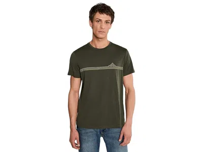 Icebreaker Merino 150 Tech Lite Short Sleeve T-shirts Range Stripes In Green