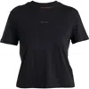 Icebreaker Merino 150 Tech Lite T-shirt In Black