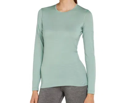 Icebreaker Merino 200 Oasis Long Sleeve Top In Moss In Gray