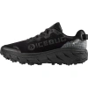 Icebug Arcus 2 Bugrip Gtx Running Shoe In Black