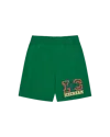 Icecream Collegiate Puppy Shorts