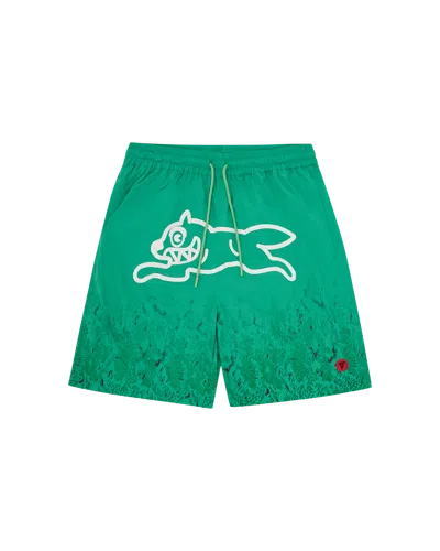 Icecream Kids' Gradient Snakeskin Running Dog Swim Shorts In Green