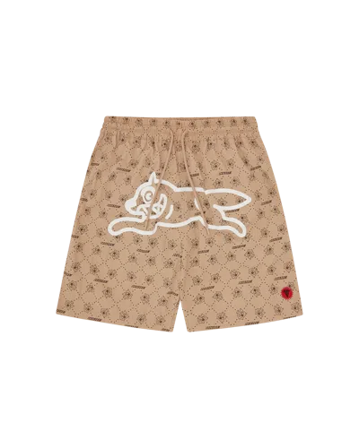 Icecream Kids' Monogram Running Dog Swim Shorts In Brown