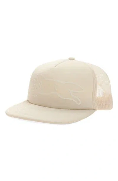 Icecream Options Running Dog Trucker Hat In White