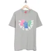 Icecream Pieces Graphic T-shirt In Gray