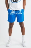 Icecream Runner Logo Shorts In Blue