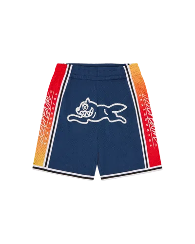 Icecream Kids' Running Dog Basketball Shorts In Blue
