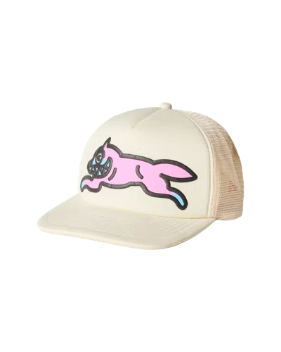 Icecream Kids' Running Dog Trucker Hat In Gray