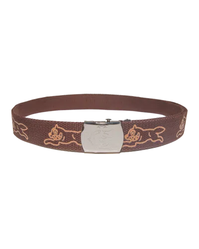 Icecream Kids' Running Dog Web Belt In Brown
