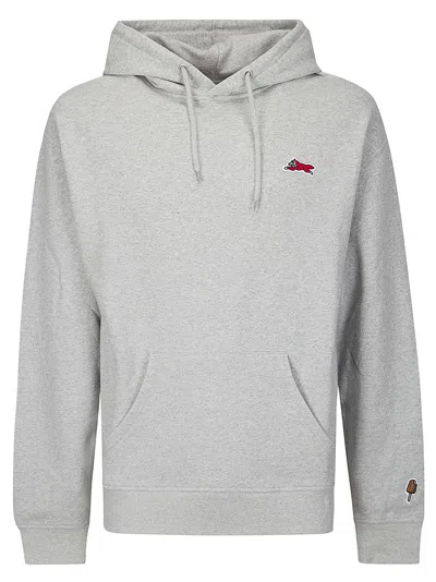 Icecream Small Silicone Running Dog Popover Hood In Gray