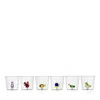 Ichendorf Animal Farm Assorted Glasses, Set Of 6