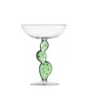 Ichendorf Desert Plants Cactus Champagne Bowl In Green
