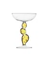 Ichendorf Desert Plants Cactus Champagne Bowl In Yellow
