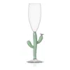 Ichendorf Desert Plants Cactus Flute