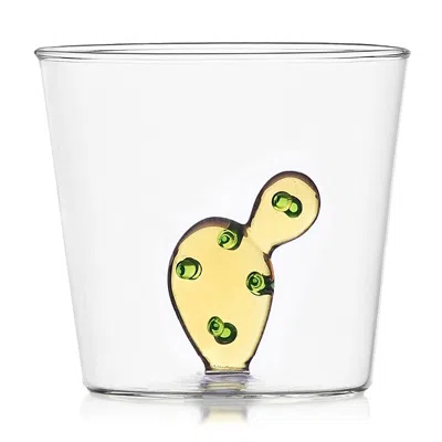 Ichendorf Desert Plants Tumbler In Clear/ Amber