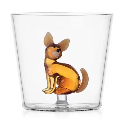 Ichendorf Dogs Tumbler - Chihuahua In Transparent